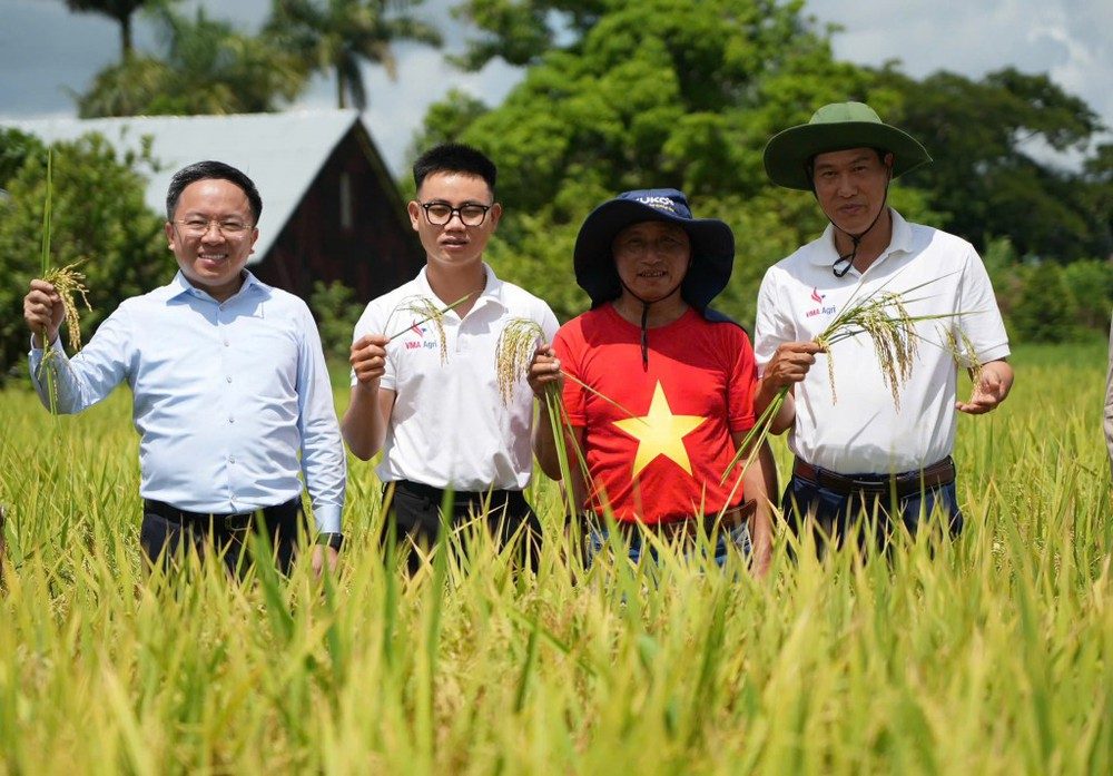 “Hạt giống hạnh phúc”- Bộ phim tài liệu phát sóng trên Truyền hình Việt Nam và Cuba - Ảnh 1. “Hạt giống hạnh phúc”- Bộ phim tài liệu phát sóng trên Truyền hình Việt Nam và Cuba - Ảnh 1.