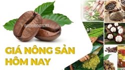 gia-nong-san-hom-nay-154-gia-ca-phe-the-gioi-tang-manh-gia-tieu-duoc-gia-trung-quoc-la-doi-tac-nhap-khau-nong-san-viet-nam-lon-thu-hai-the-gioi-20250415091218