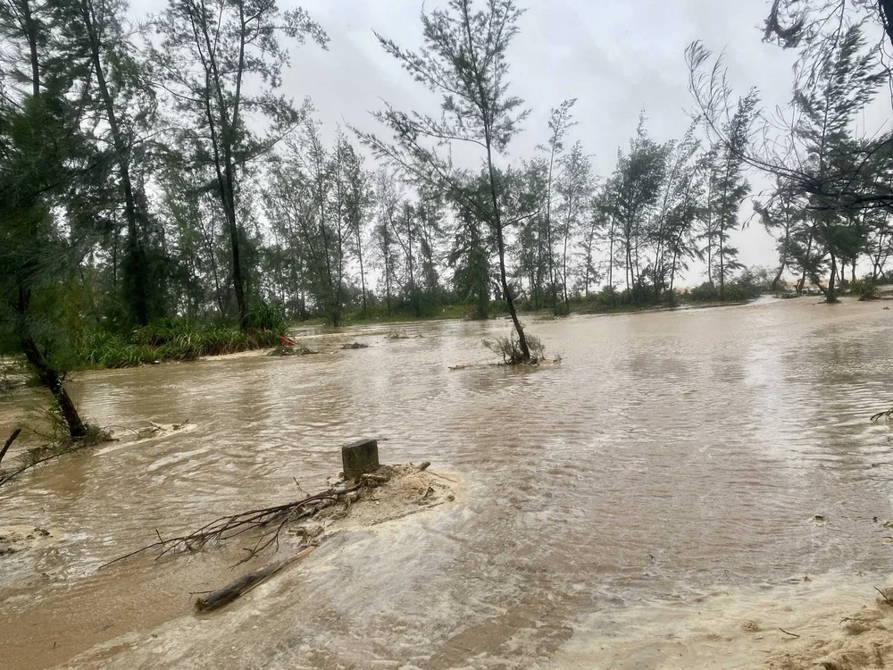 Ứng phó bão số 5: Cập nhật mưa lớn, sạt lở từ Hà Tĩnh, Quảng Trị - Ảnh 3.