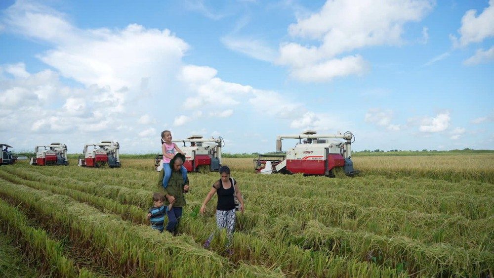 “Hạt giống hạnh phúc”- Bộ phim tài liệu phát sóng trên Truyền hình Việt Nam và Cuba - Ảnh 2.