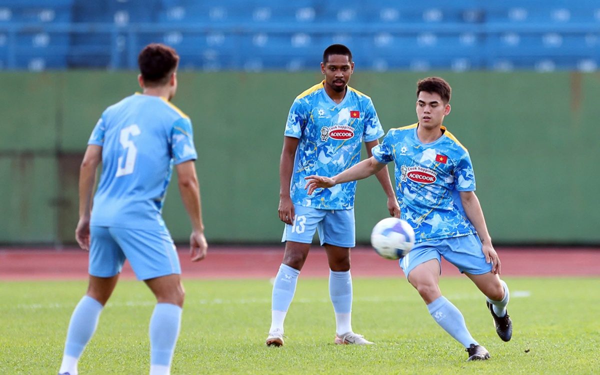 dT Viet Nam (2)