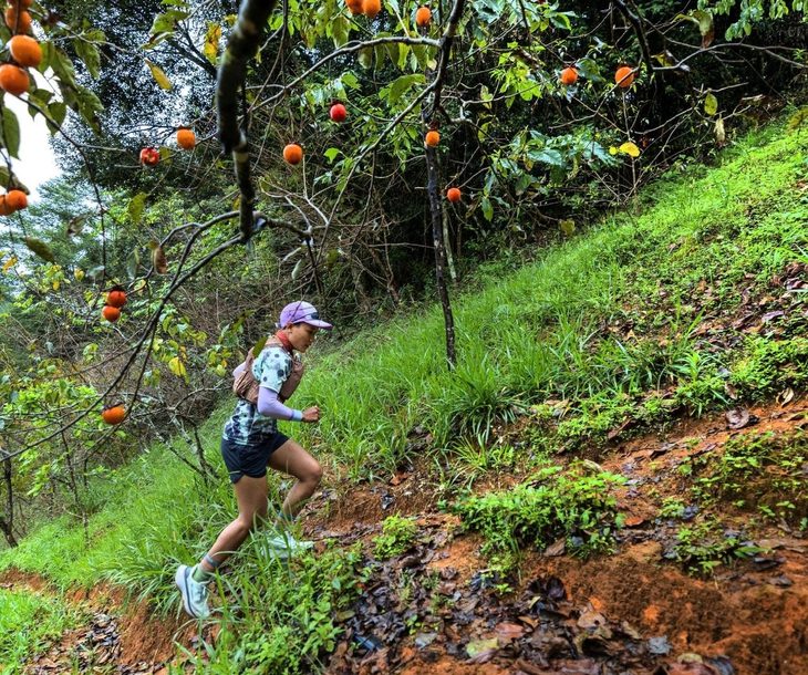 Hoãn giải chạy Vietnam Highlands Trail 2025 vì mưa lớn kéo dài- Ảnh 1. Hoãn giải chạy Vietnam Highlands Trail 2025 vì mưa lớn kéo dài- Ảnh 1.