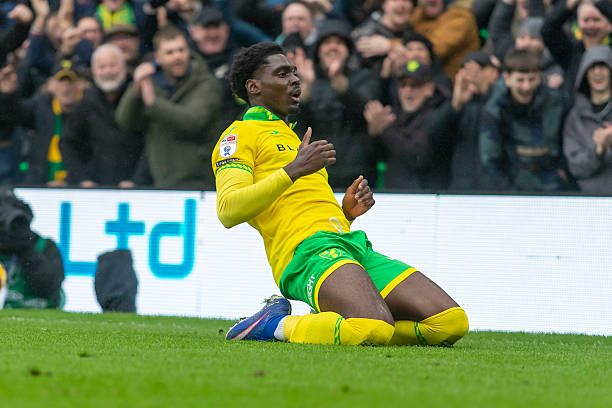 Mohamed Toure ăn mừng trong màu áo của Norwich City